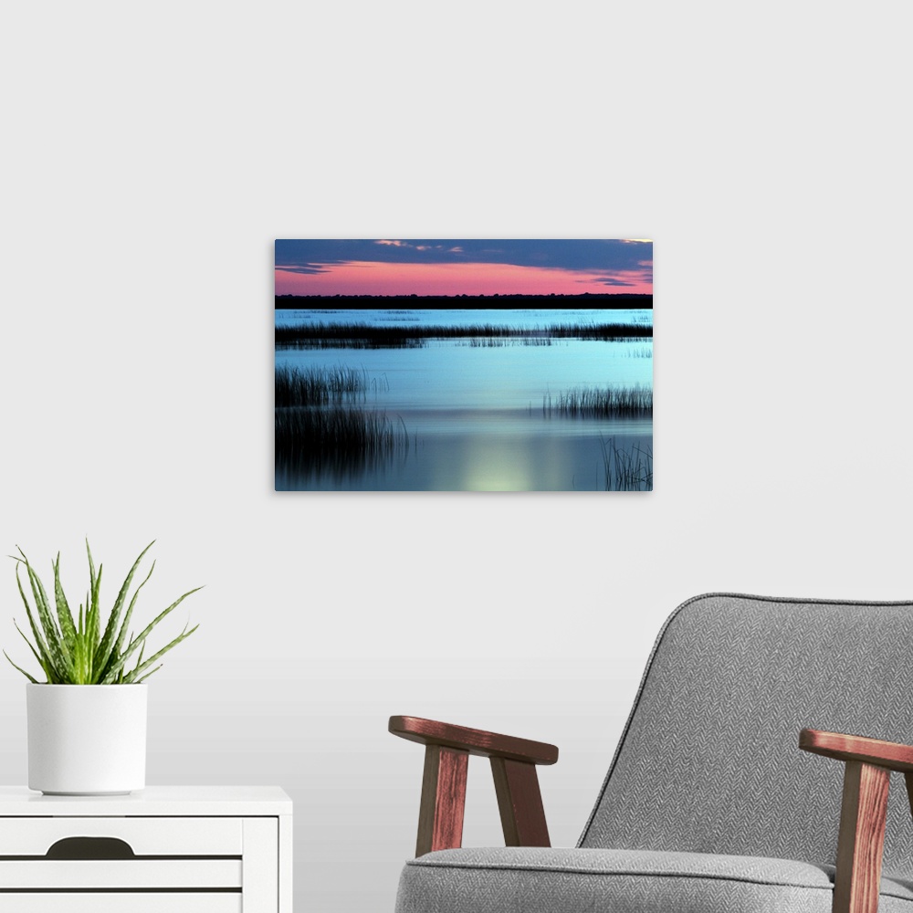 A modern room featuring Sunset on Donana marshland, Spain