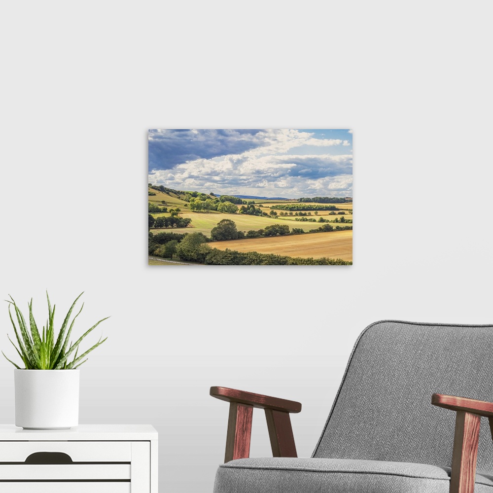 A modern room featuring large fields on the South Downs in Sussex, England, UK on a summers evening during harvest.
