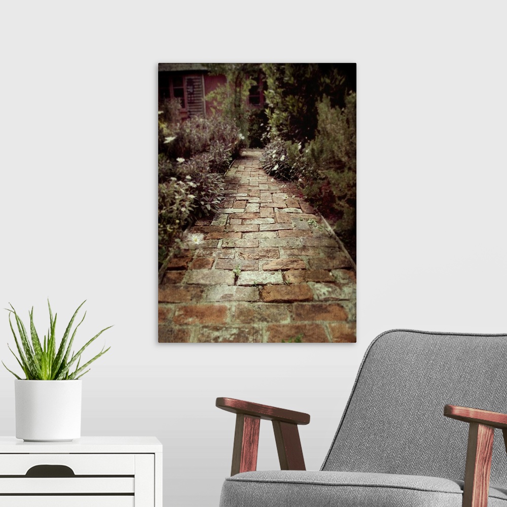 A modern room featuring small path made of old bricks in a cottage herb garden