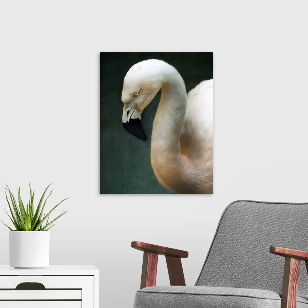A modern room featuring A flamingo with a dark background