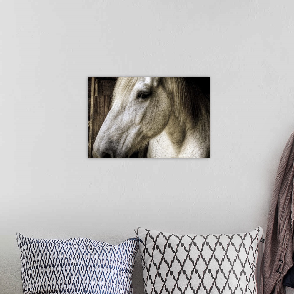A bohemian room featuring The left side of a horses head is photographed very closely as it stands in a stable.