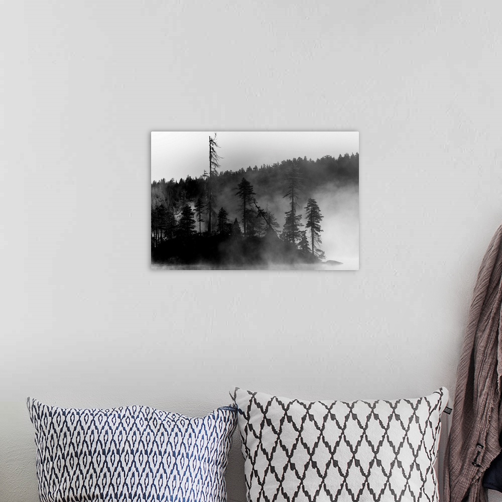 A bohemian room featuring A small island of trees on a lake covered in mist.