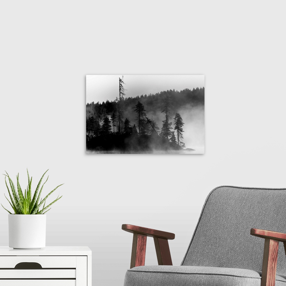 A modern room featuring A small island of trees on a lake covered in mist.