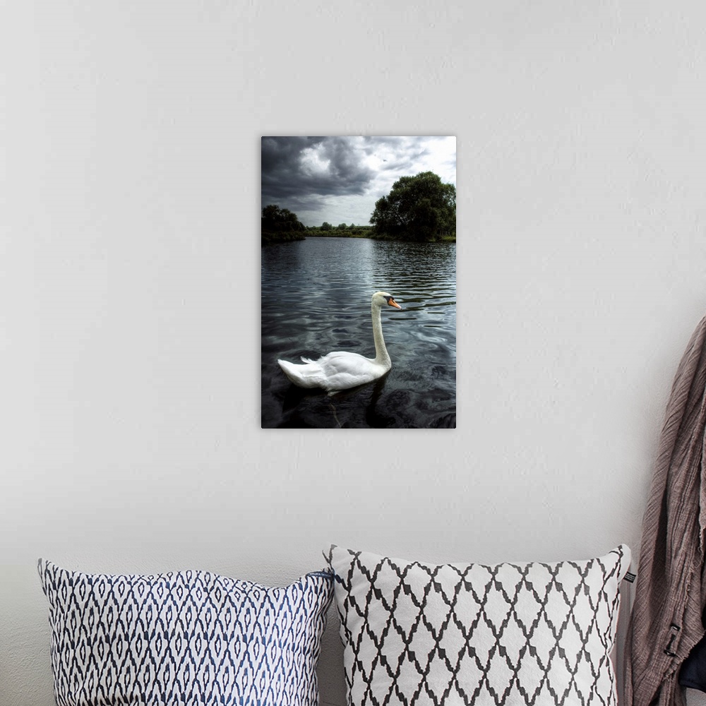 A bohemian room featuring A swan on the river