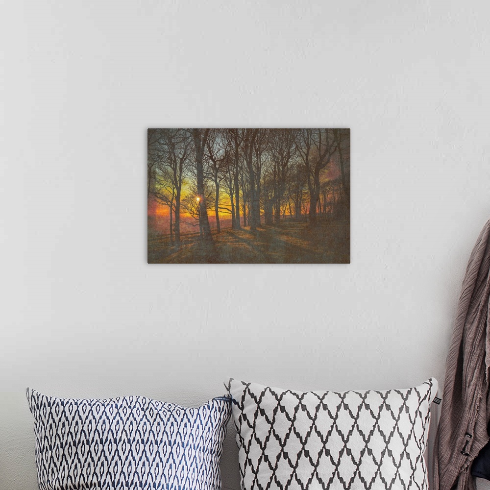A bohemian room featuring The winter sun setting behind trees at Chanctonbury Ring on the South Downs in west Sussex, England.