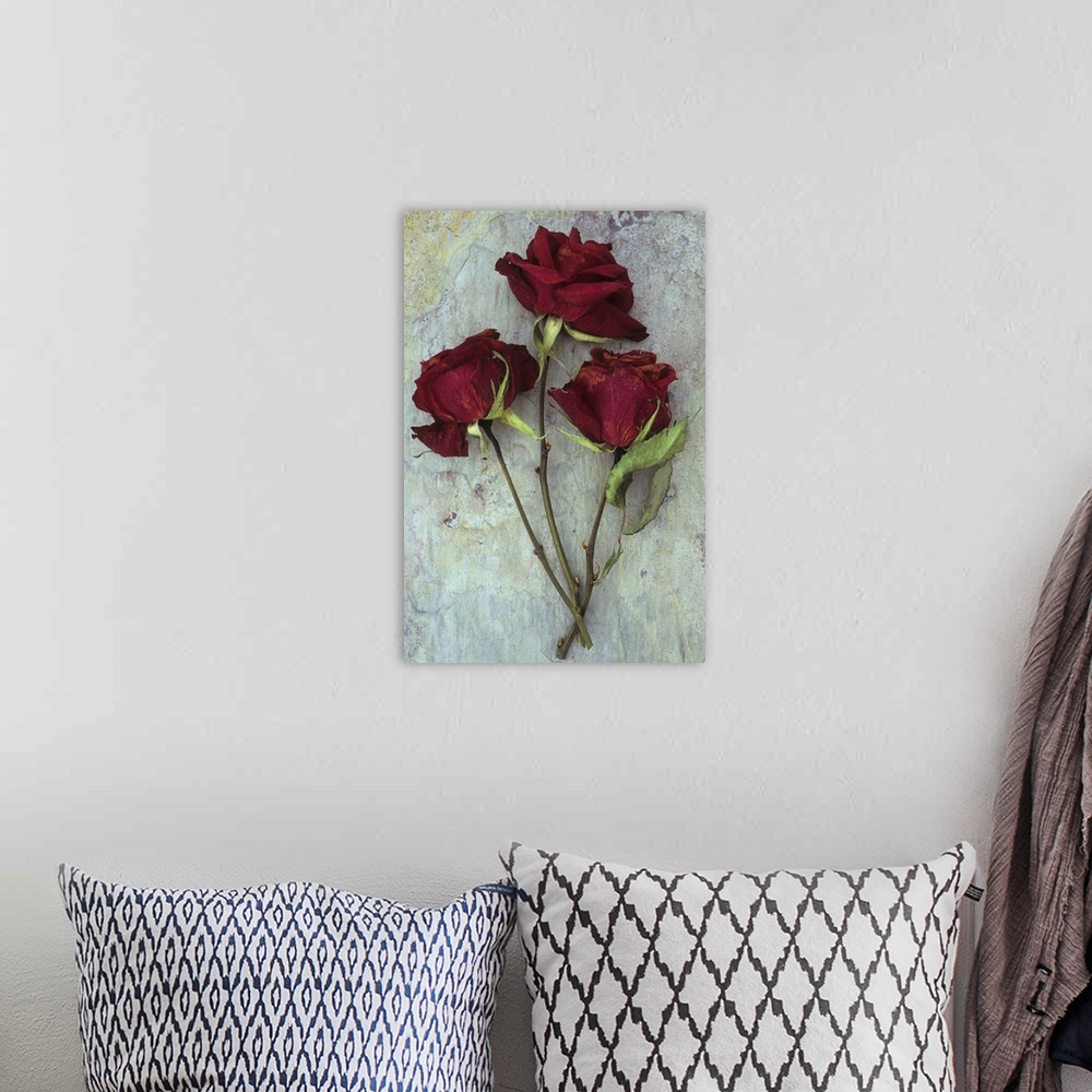A bohemian room featuring Three dried deep red roses lying with their stems and leaves on marbled slate stone