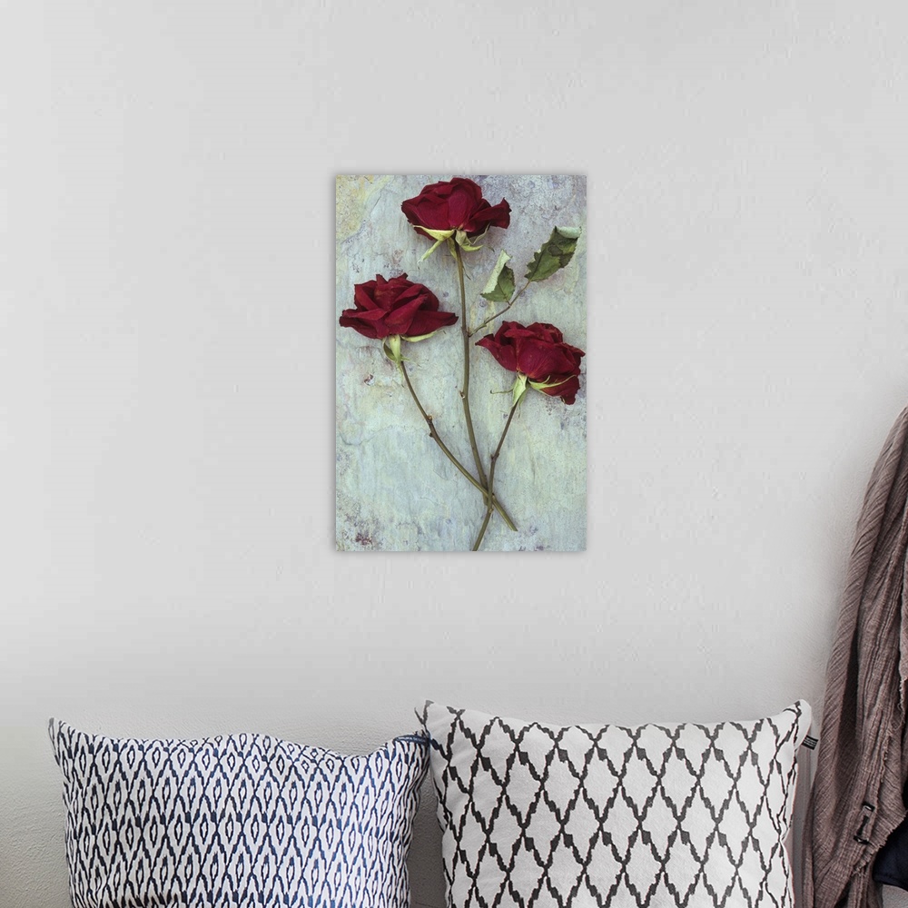 A bohemian room featuring Three dried deep red roses lying with their stems and leaves on marbled slate stone