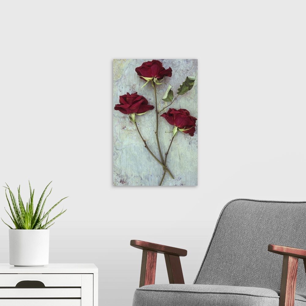 A modern room featuring Three dried deep red roses lying with their stems and leaves on marbled slate stone