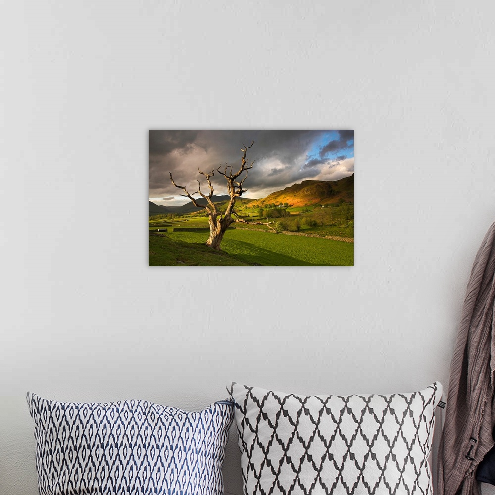 A bohemian room featuring Tree at Keswick, Lake District, Cumbria, UK