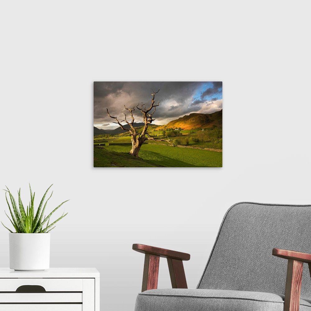A modern room featuring Tree at Keswick, Lake District, Cumbria, UK