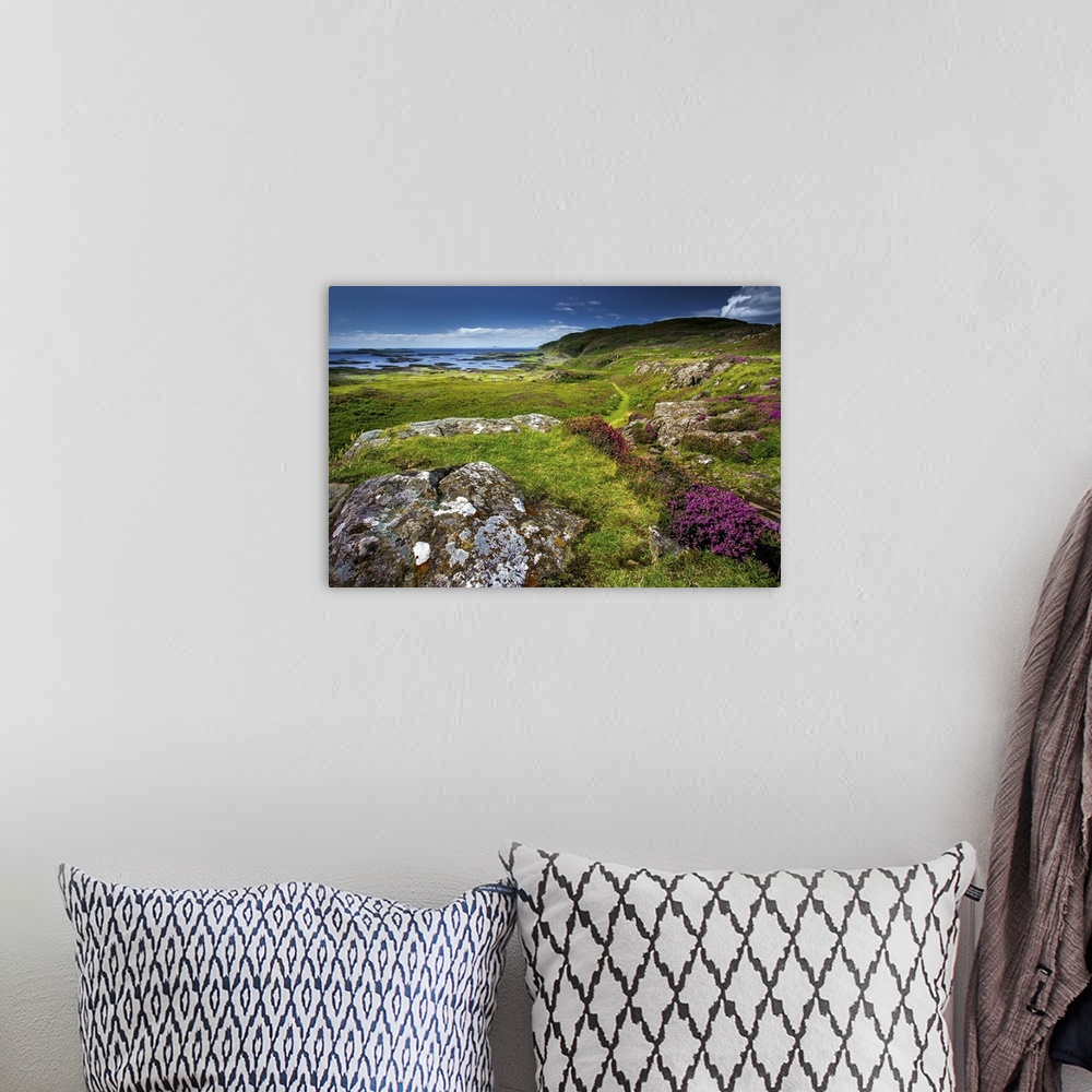 A bohemian room featuring Coastal scenery with grass, heather and rocks on coastal path in rural Scotland in summer