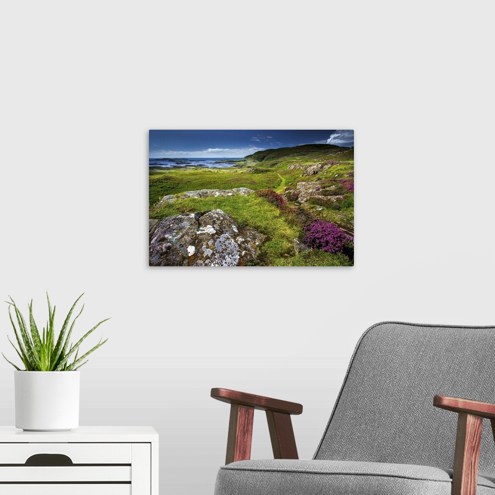 A modern room featuring Coastal scenery with grass, heather and rocks on coastal path in rural Scotland in summer