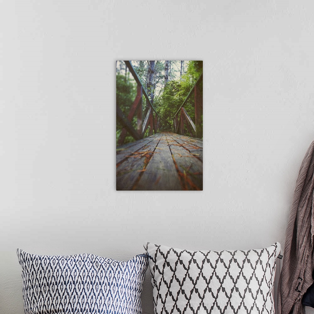 A bohemian room featuring low angle view of a wooden bridge leading into a forest