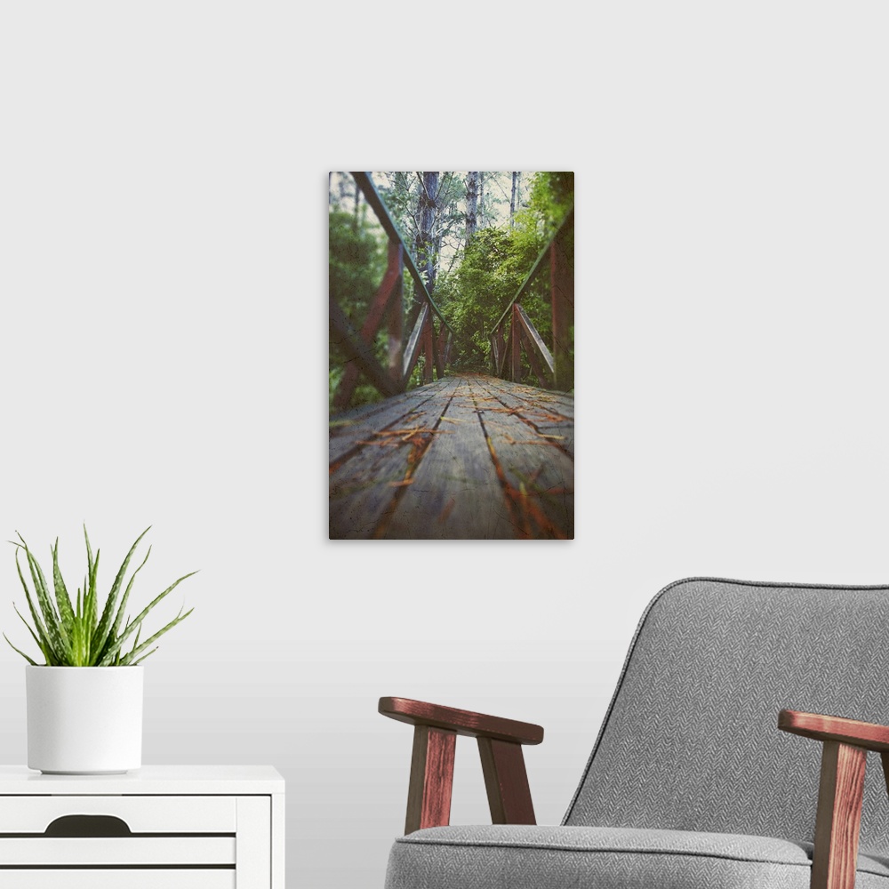 A modern room featuring low angle view of a wooden bridge leading into a forest
