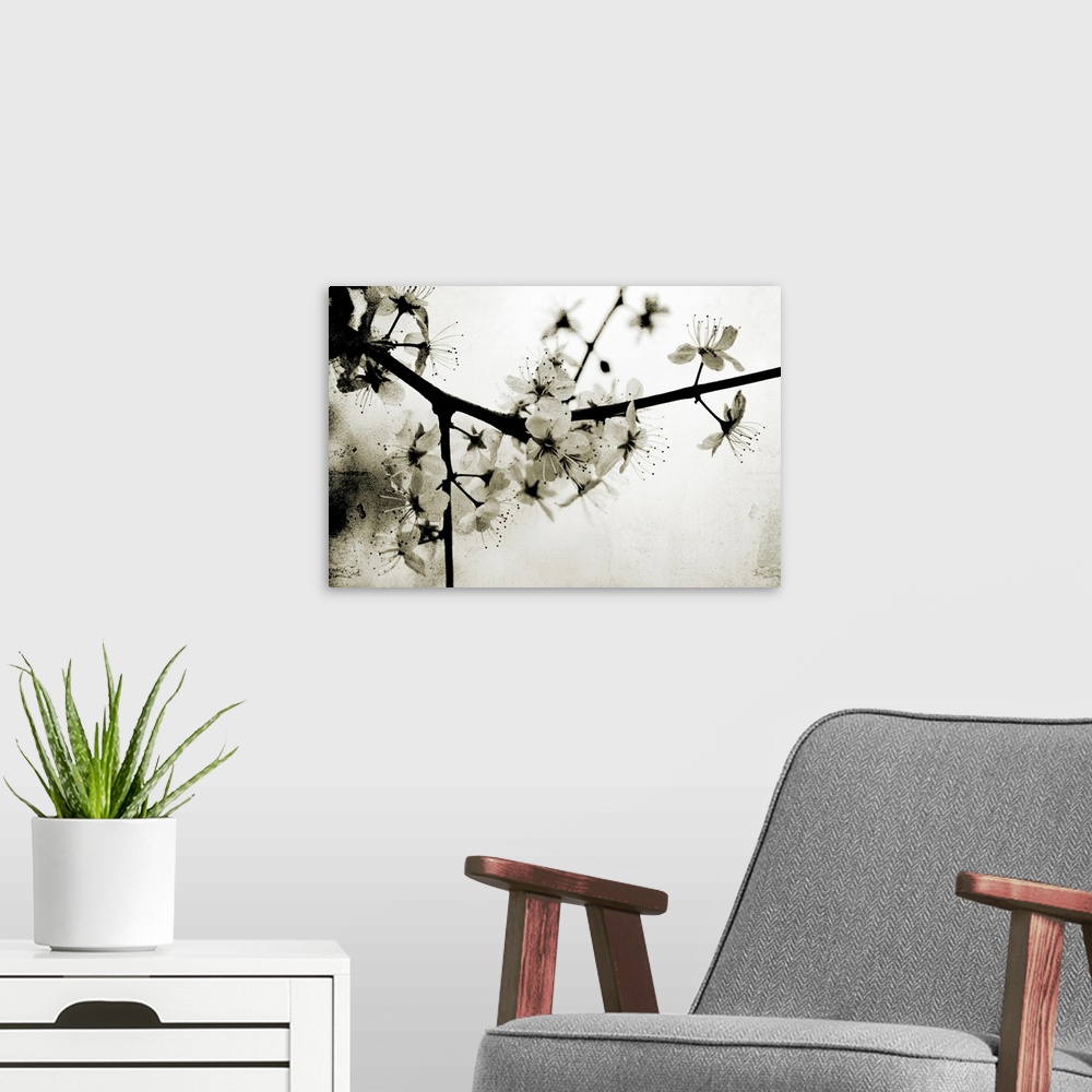 A modern room featuring White flowers on a tree. Texture added in photoshop.