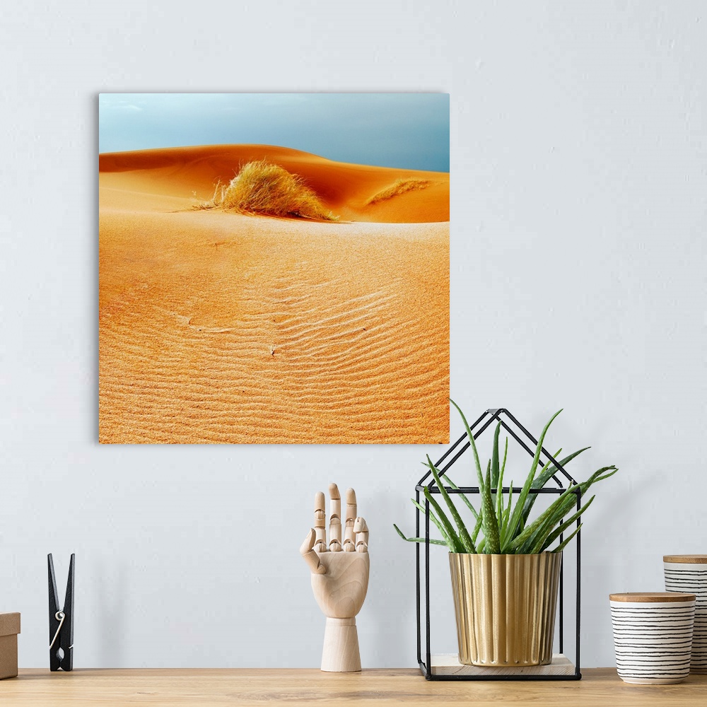 A bohemian room featuring Sarah desert with golden sand