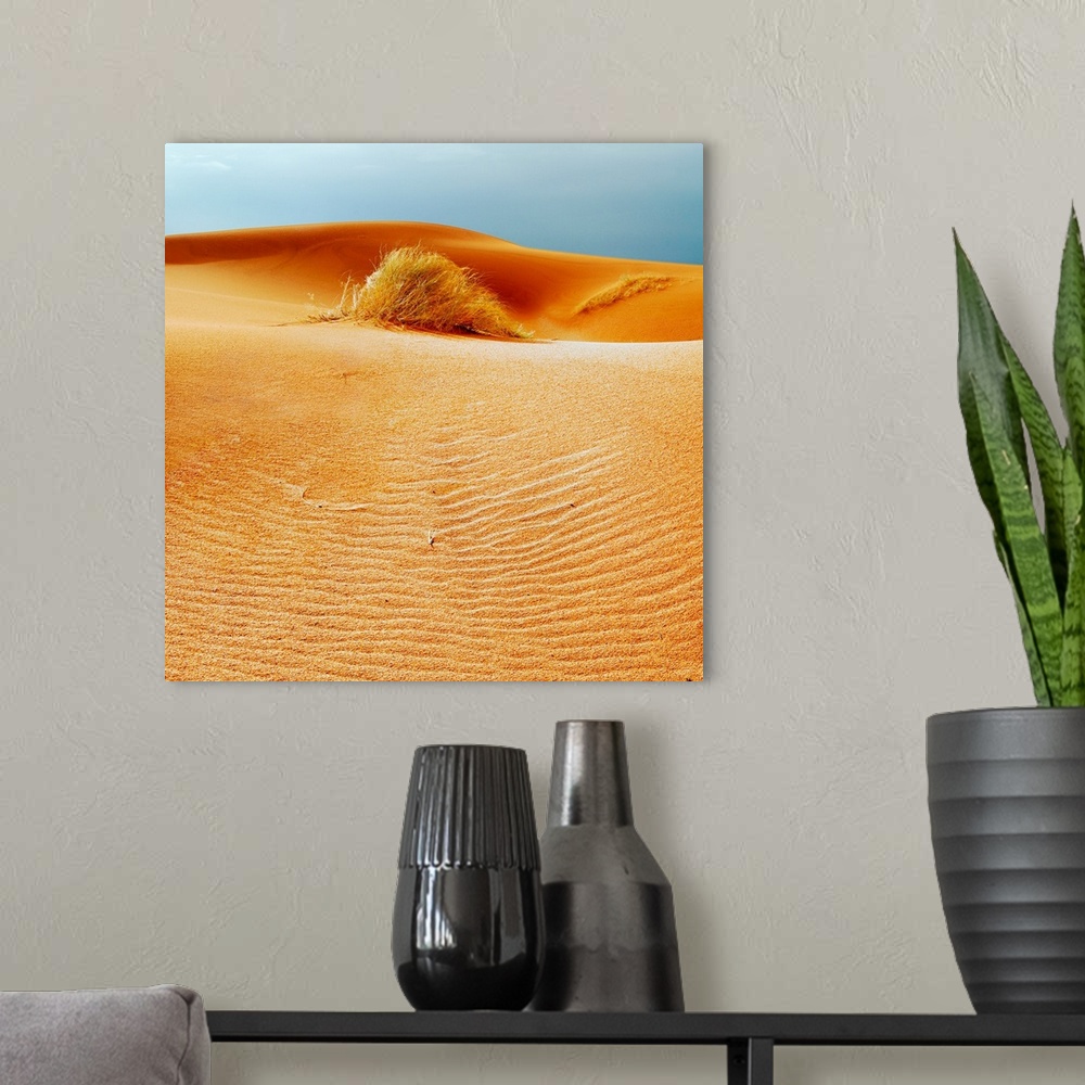 A modern room featuring Sarah desert with golden sand