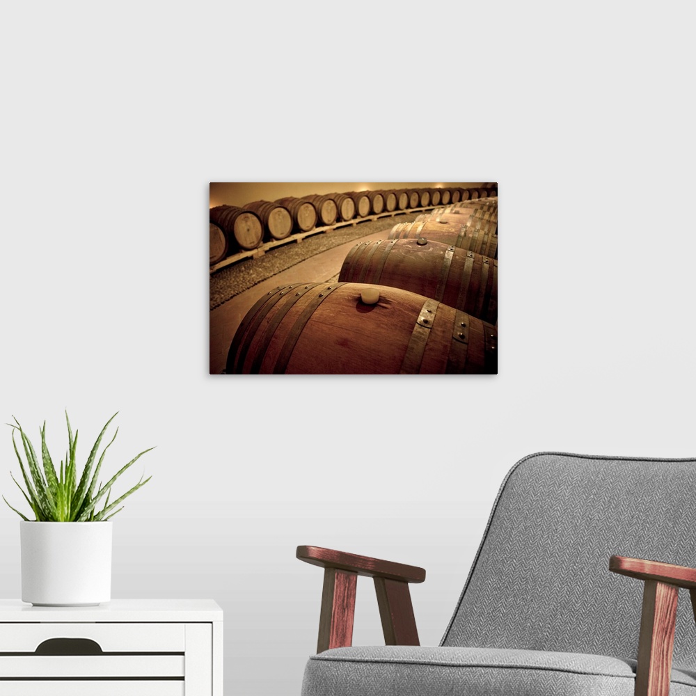 A modern room featuring Wine barrels in a cellar in Italy.