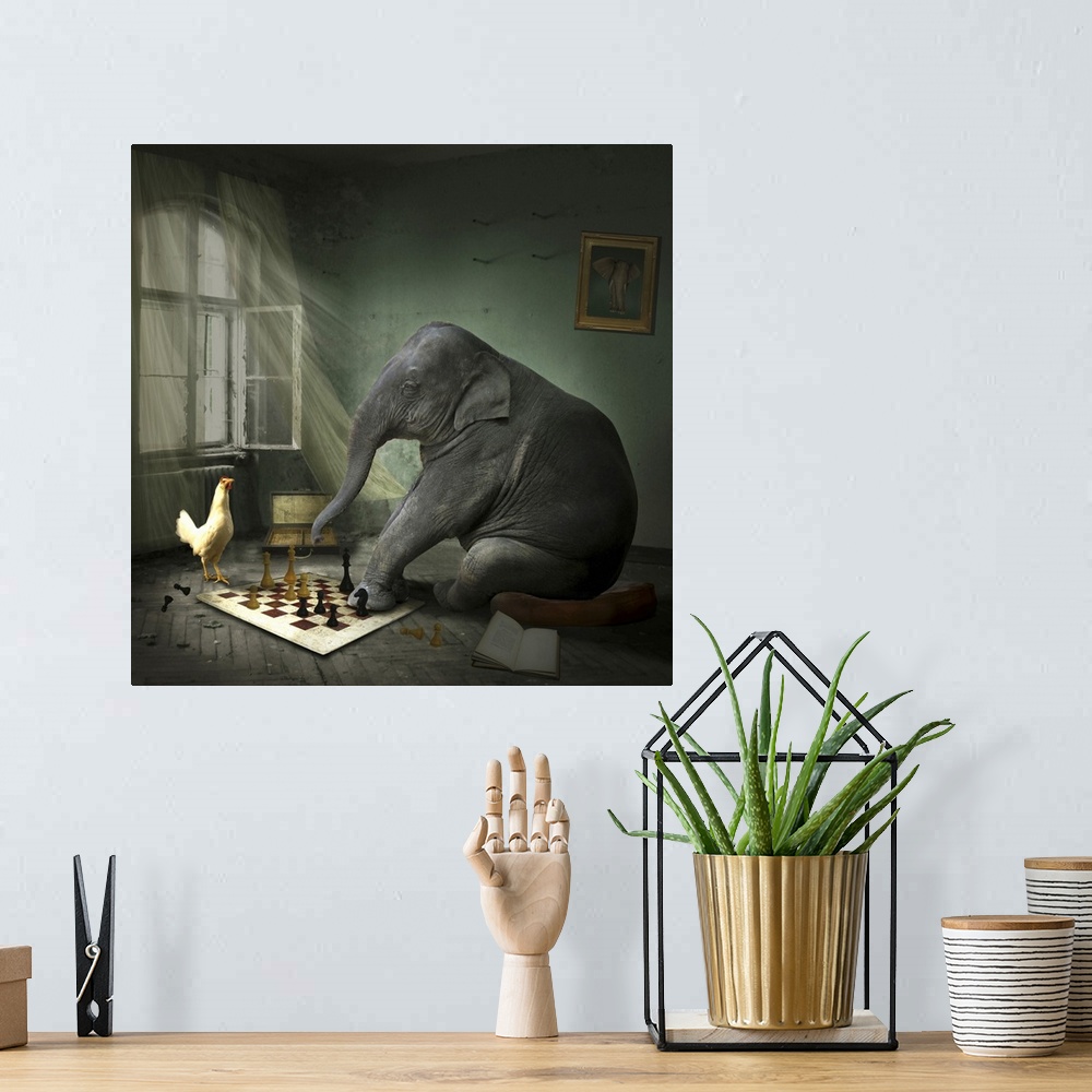 A bohemian room featuring Elephant playing chess with a chicken
