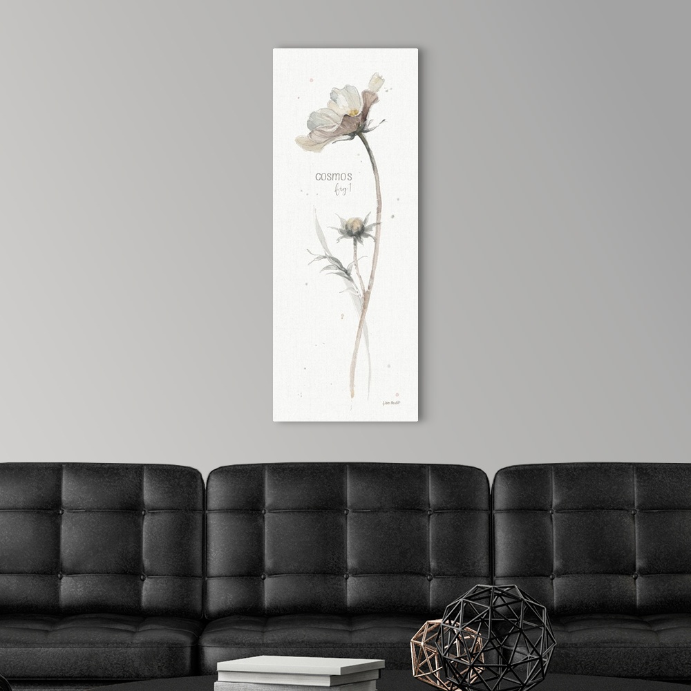 A modern room featuring Decorative artwork of watercolor flower designed as a botanical study labeled as, 'Cosmos, fig. 1.'