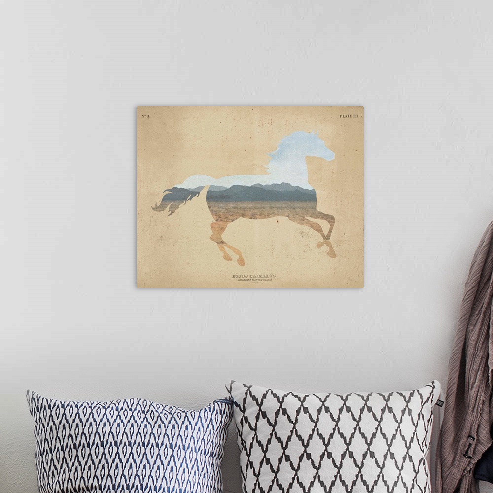 A bohemian room featuring American Southwest Horse Distressed