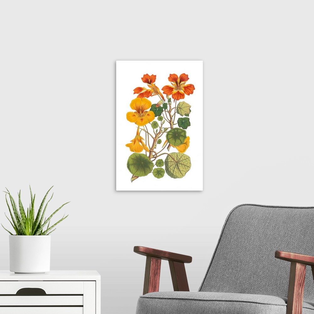 A modern room featuring A botanical illustration of yellow and orange flowers with leaves on a white background.