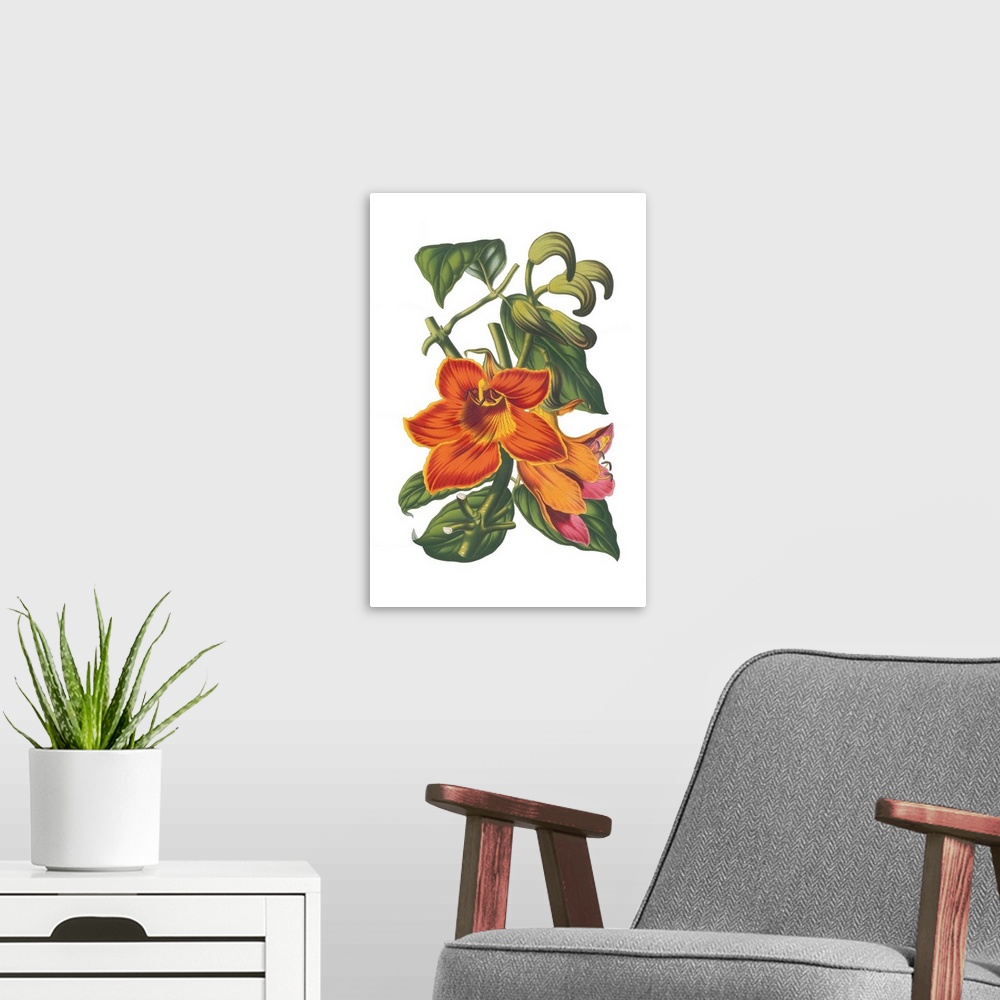 A modern room featuring A botanical illustration of orange flowers with leaves on a white background.