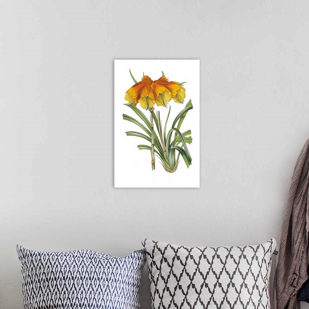 A bohemian room featuring A botanical illustration of yellow and orange flowers with leaves on a white background.