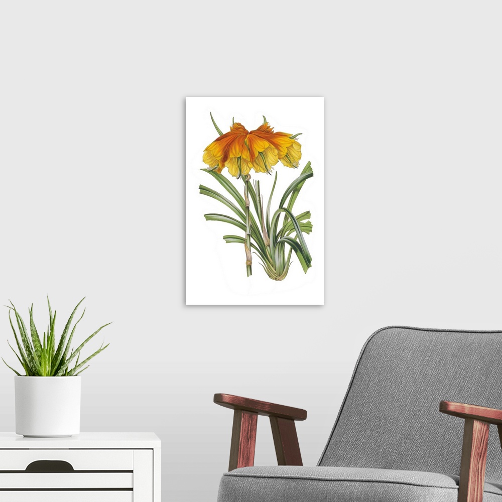 A modern room featuring A botanical illustration of yellow and orange flowers with leaves on a white background.