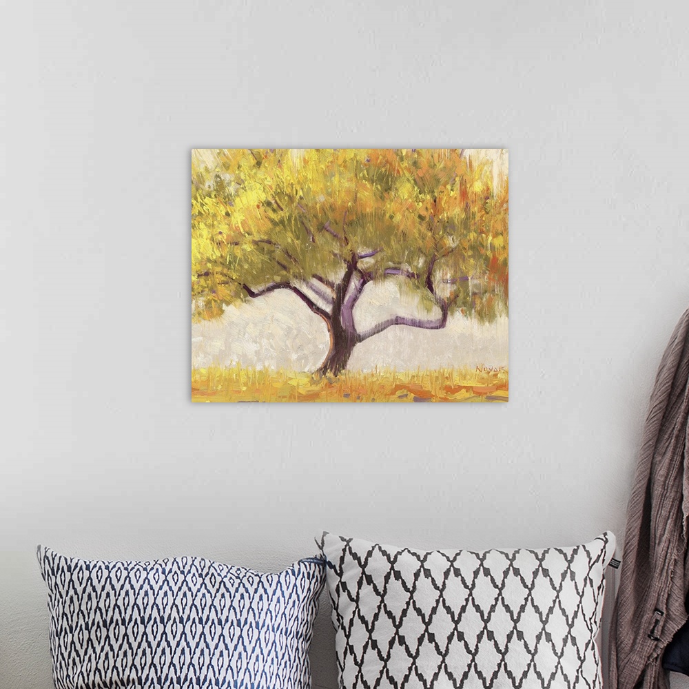 A bohemian room featuring Apricot Tree