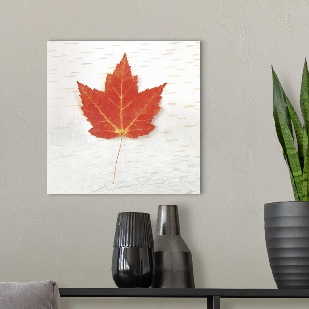A modern room featuring Square art with a red Fall maple leaf on an aspen wood grain background with "meadow" faintly wri...
