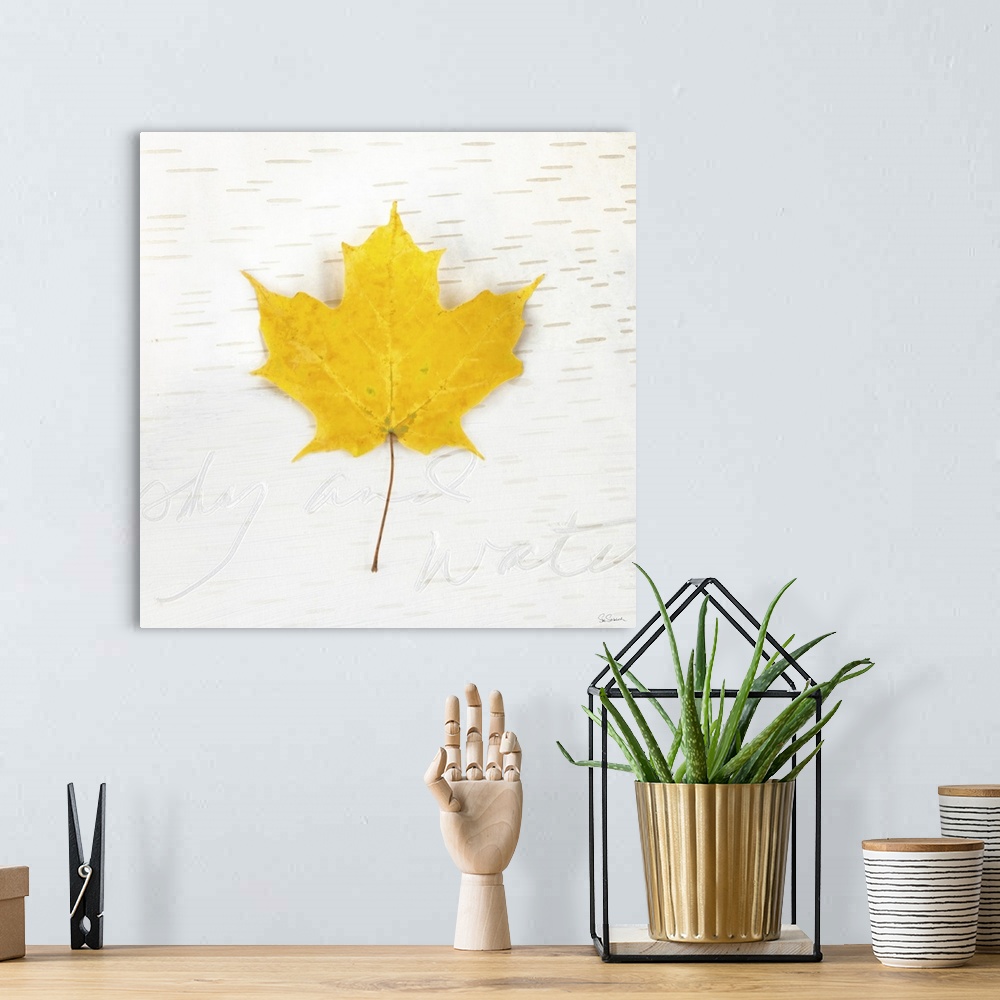 A bohemian room featuring Square art with a yellow Fall maple leaf on an aspen wood grain background with "sky and water" w...