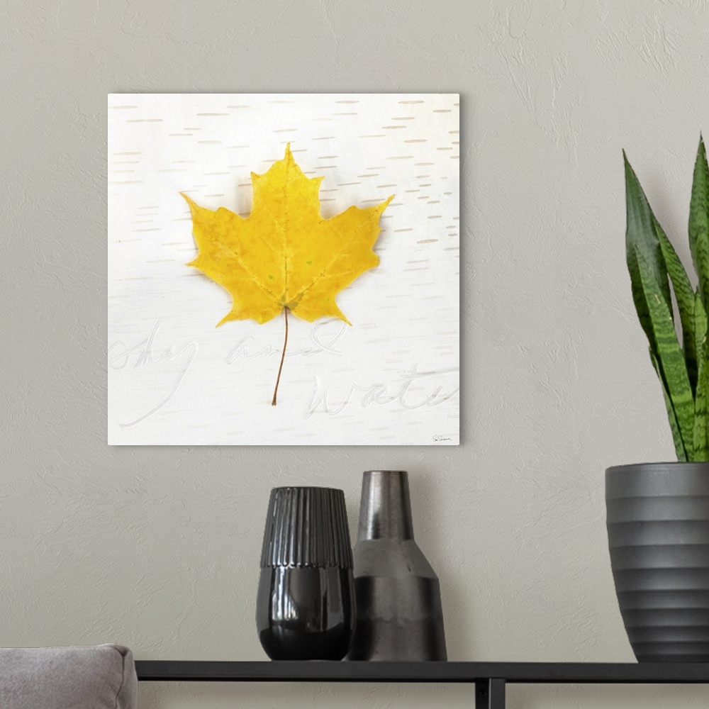 A modern room featuring Square art with a yellow Fall maple leaf on an aspen wood grain background with "sky and water" w...