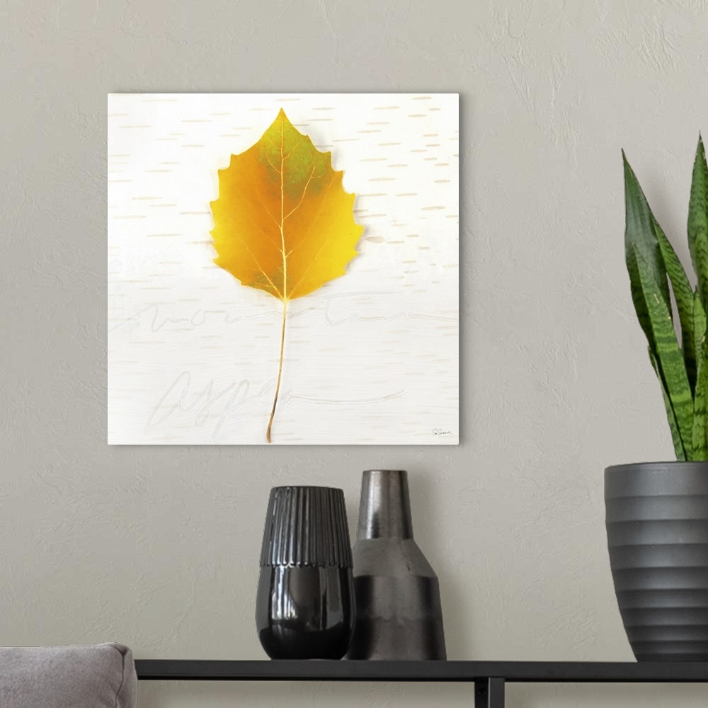 A modern room featuring Square art with a yellow Fall leaf on an aspen wood grain background with "mountain aspen" faintl...
