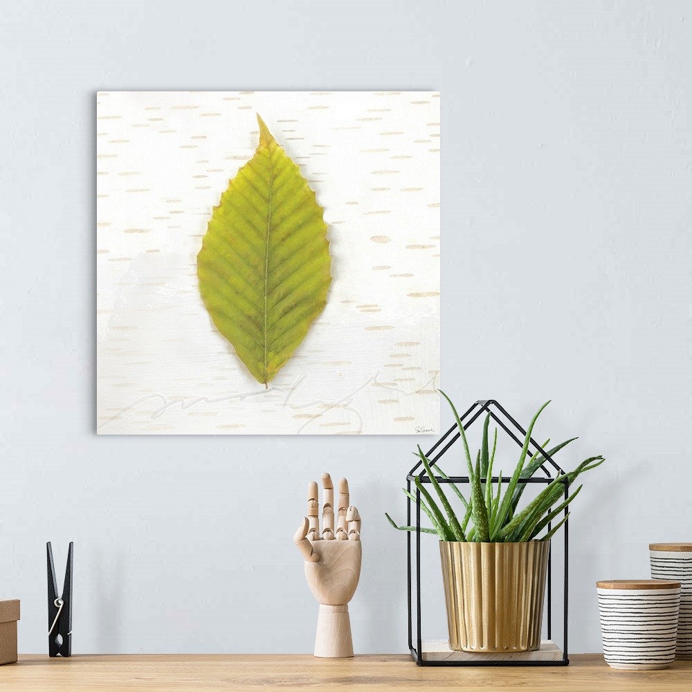 A bohemian room featuring Square art with a green Fall leaf on an aspen wood grain background.