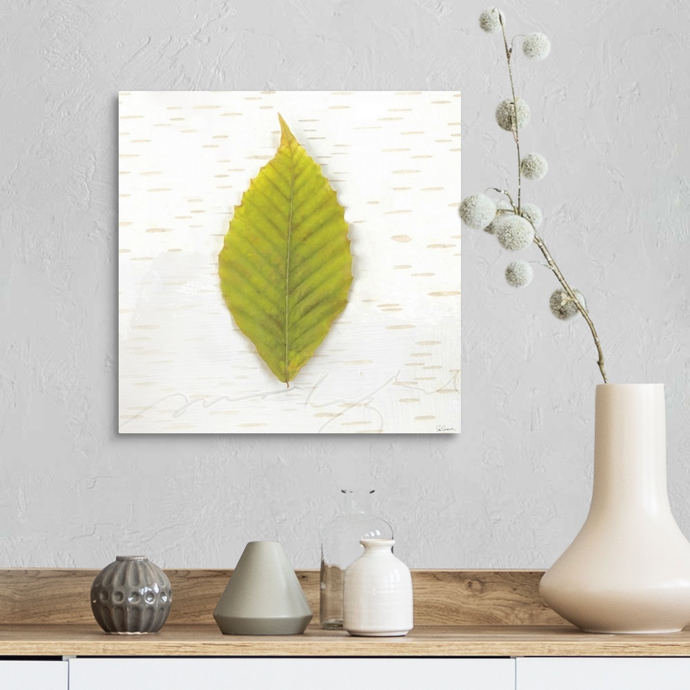 A farmhouse room featuring Square art with a green Fall leaf on an aspen wood grain background.