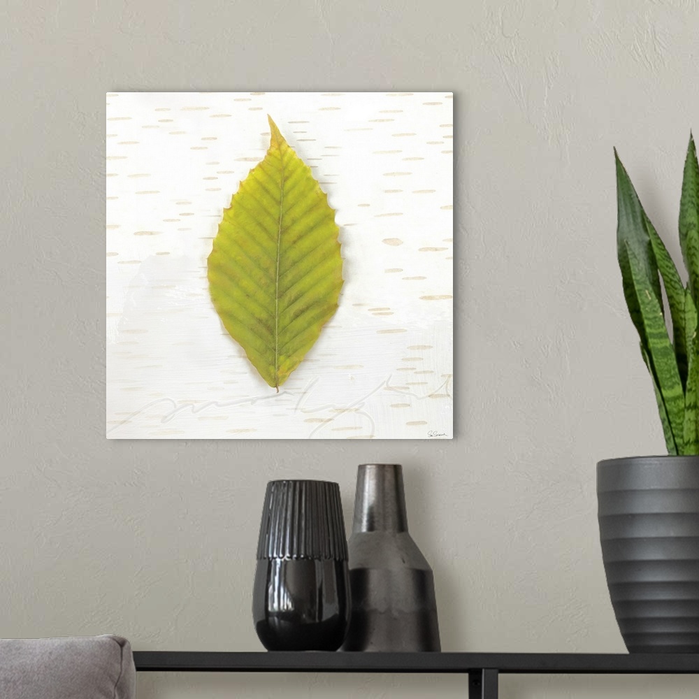 A modern room featuring Square art with a green Fall leaf on an aspen wood grain background.