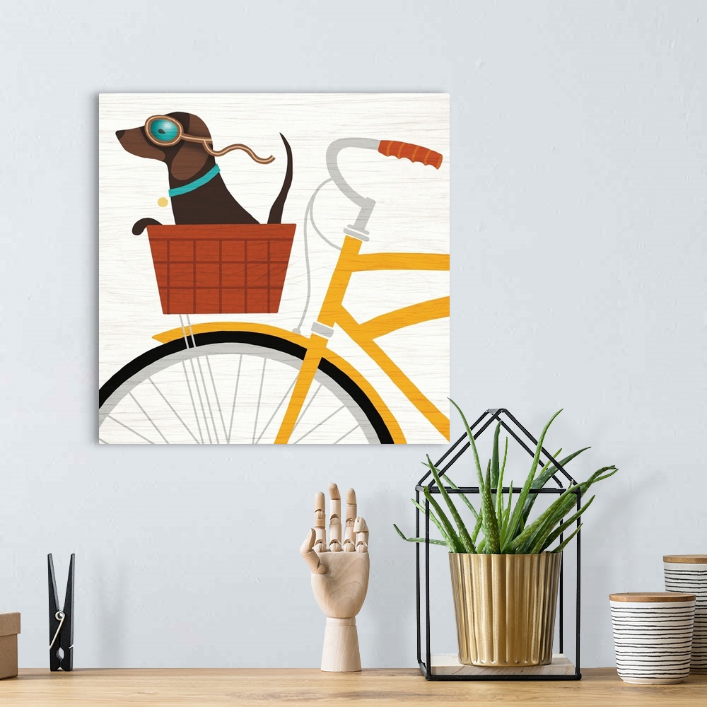 A bohemian room featuring Illustration of a dachshund riding in the basket of a yellow bicycle with goggles on.