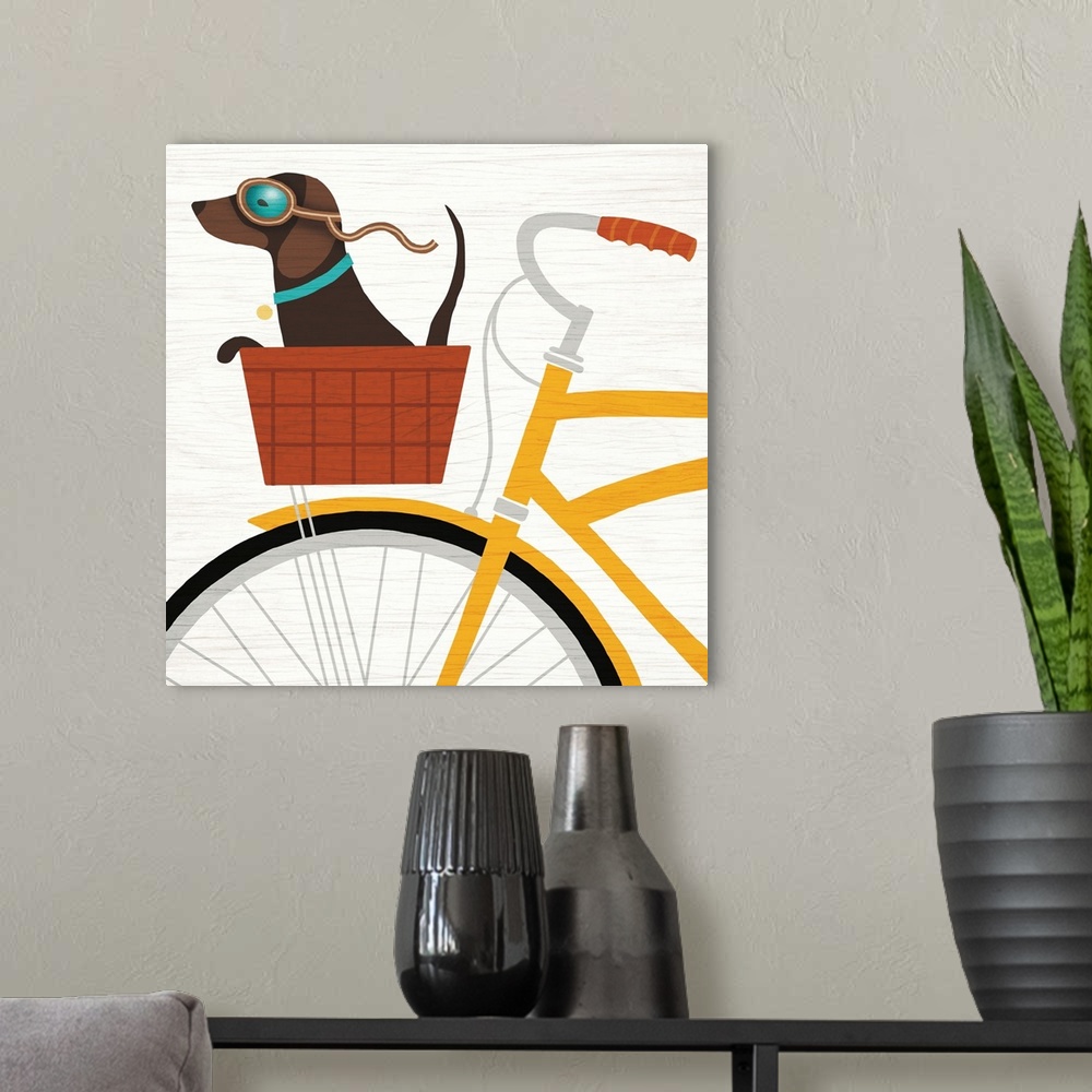 A modern room featuring Illustration of a dachshund riding in the basket of a yellow bicycle with goggles on.