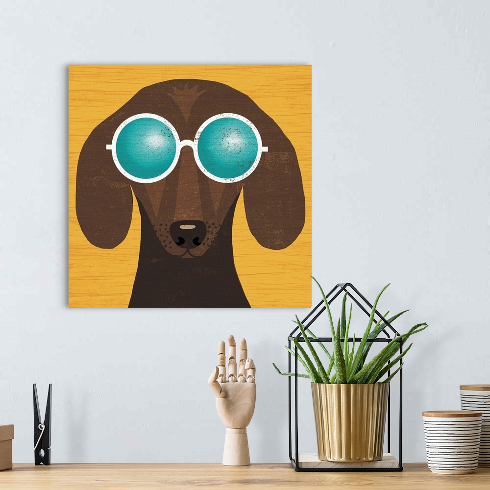 A bohemian room featuring Illustration of a dachshund wearing circular sunglasses on a yellow wood grain background.