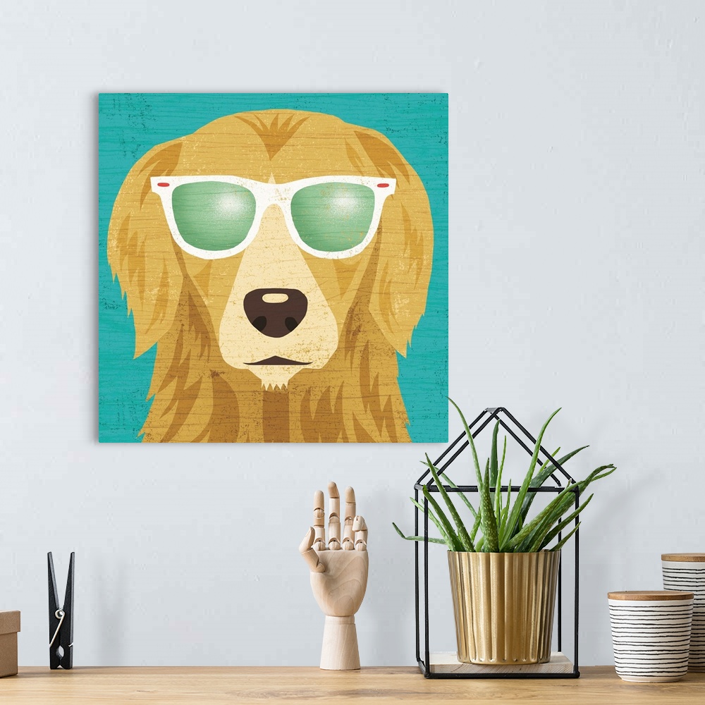 A bohemian room featuring Illustration of a Golden Retriever wearing sunglasses on a blue wood grain background.