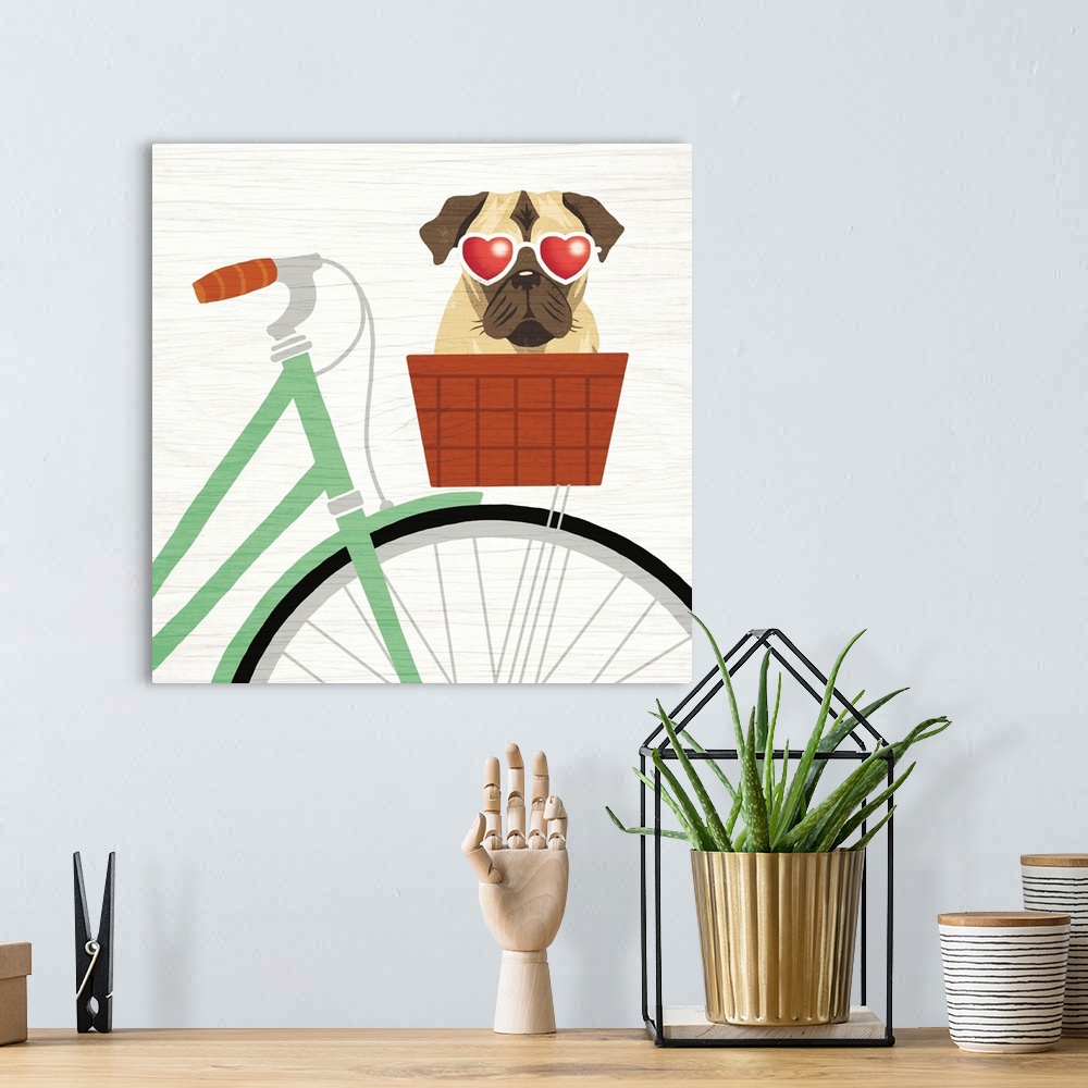 A bohemian room featuring Illustration of a pug in the basket of a bicycle wearing heart shaped sunglasses on a white wood ...