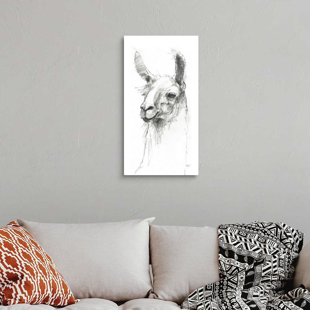 A bohemian room featuring Graphite portrait of a cute llama.