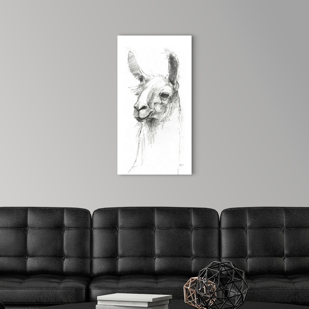 A modern room featuring Graphite portrait of a cute llama.