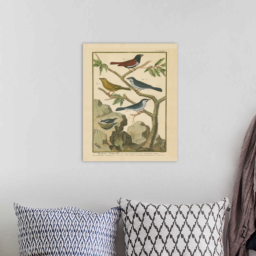 A bohemian room featuring Bird Drawing IV