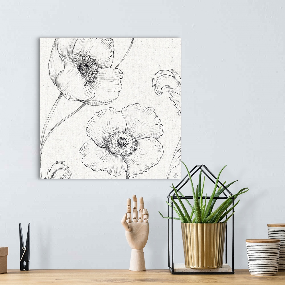 A bohemian room featuring Pencil outlines of two poppy flowers on a  textured white background.