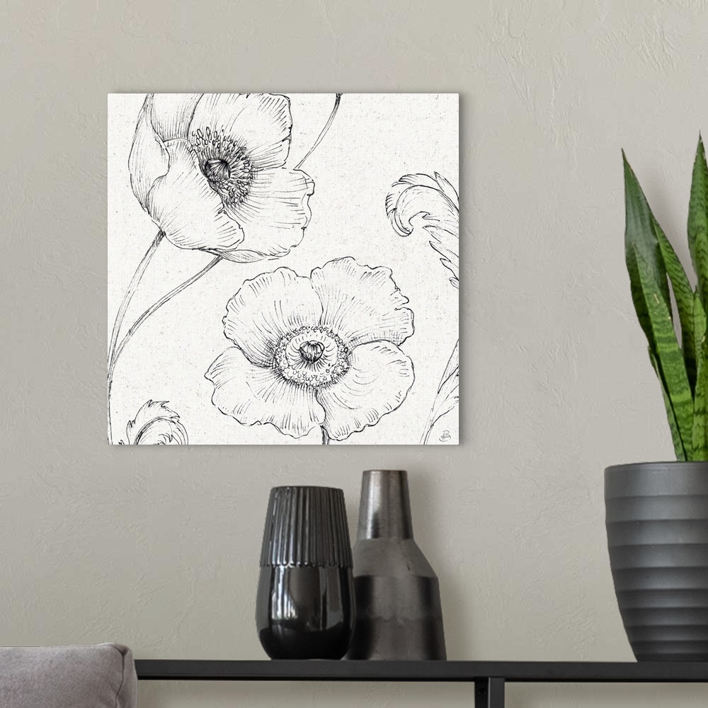 A modern room featuring Pencil outlines of two poppy flowers on a  textured white background.