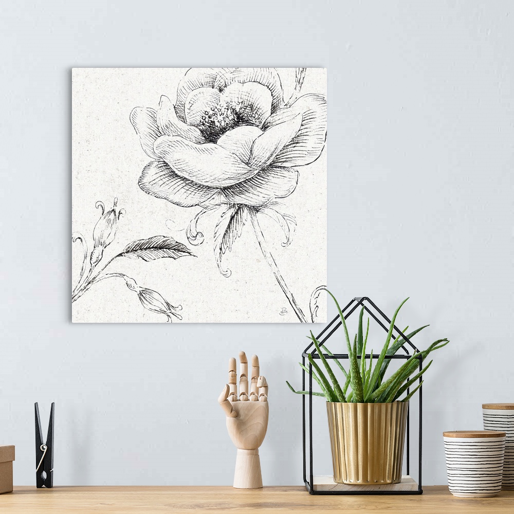A bohemian room featuring Pencil outlines of a poppy flower on a  textured white background.