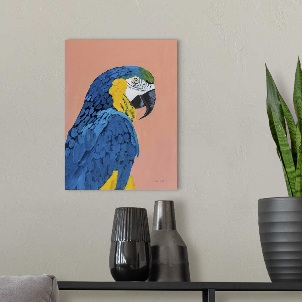 A modern room featuring Blue And Gold Macaw