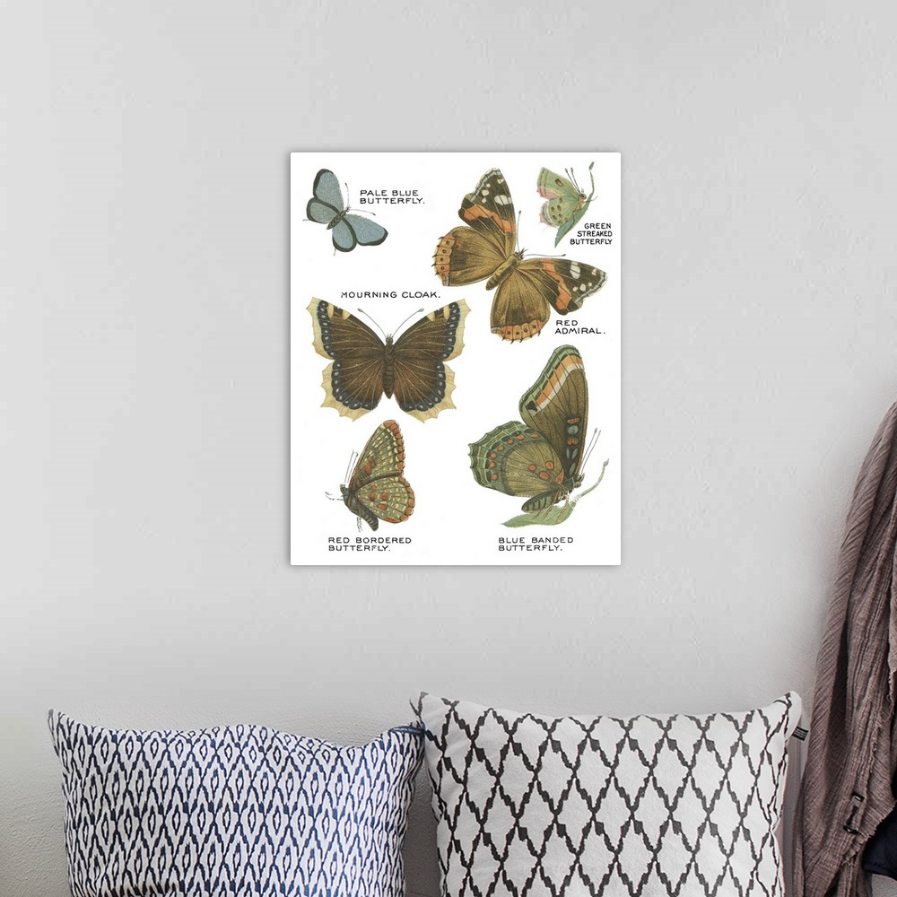 A bohemian room featuring Botanical Butterflies Postcard III White